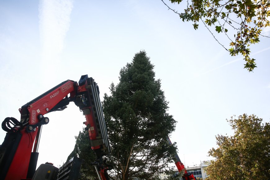 Φωταγώγηση δέντρου Αθήνα 2025: Η πόλη φωτίζεται, το Σύνταγμα ετοιμάζεται για μεγάλη γιορτή