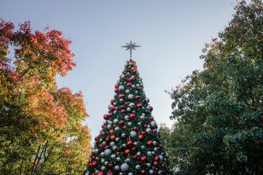 Ο κλέφτης των Χριστουγέννων: Κάμερες κατέγραψαν τη δράση του στα προάστια της Θεσσαλονίκης