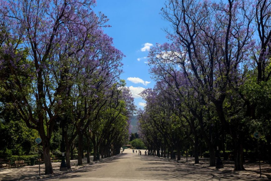 Δεκέμβριος στην Αθήνα: Δωρεάν ξεναγήσεις σε μουσεία, ιστορικά και πολιτιστικά μνημεία