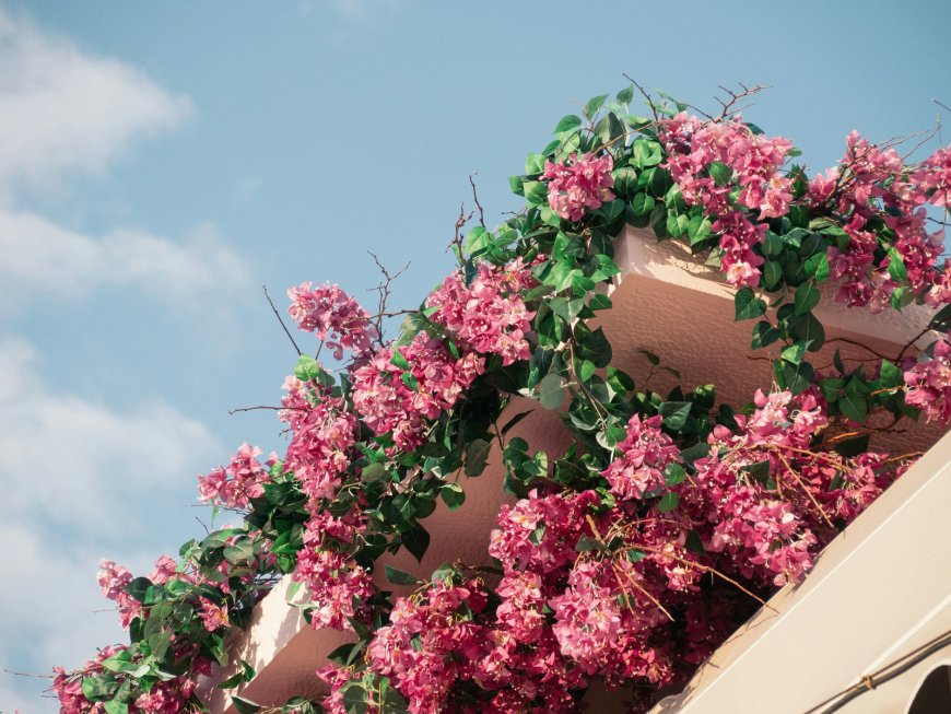 Βίλα Βέφας Αλεξιάδου Χαλκιδική: Σε νέα εποχή η παραθαλάσσια κατοικία της μαγείρισσας