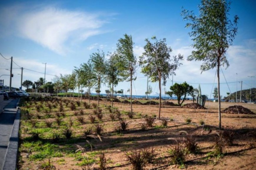 Αλλάζει όψη η Ανάβυσσος: Ολοκληρώθηκε η πρώτη φάση της ανάπλασης