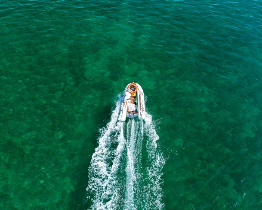 Γιγαντιαία καλαμάρια Μύκονος: Κάτοικος έπιασε δύο «τέρατα» των 17 κιλών στον Ορνό