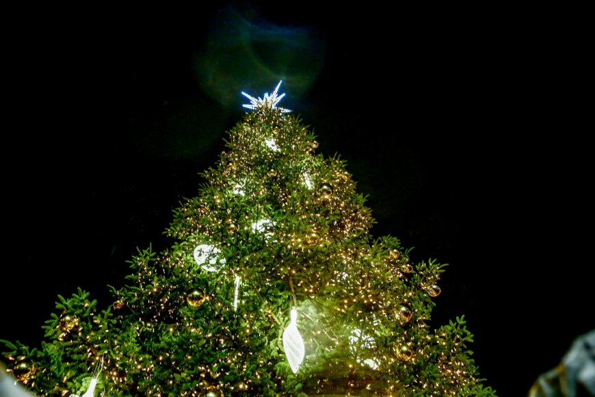 Φωταγώγηση δέντρου Σύνταγμα 2025: Τα Χριστούγεννα έφτασαν στην Αθήνα