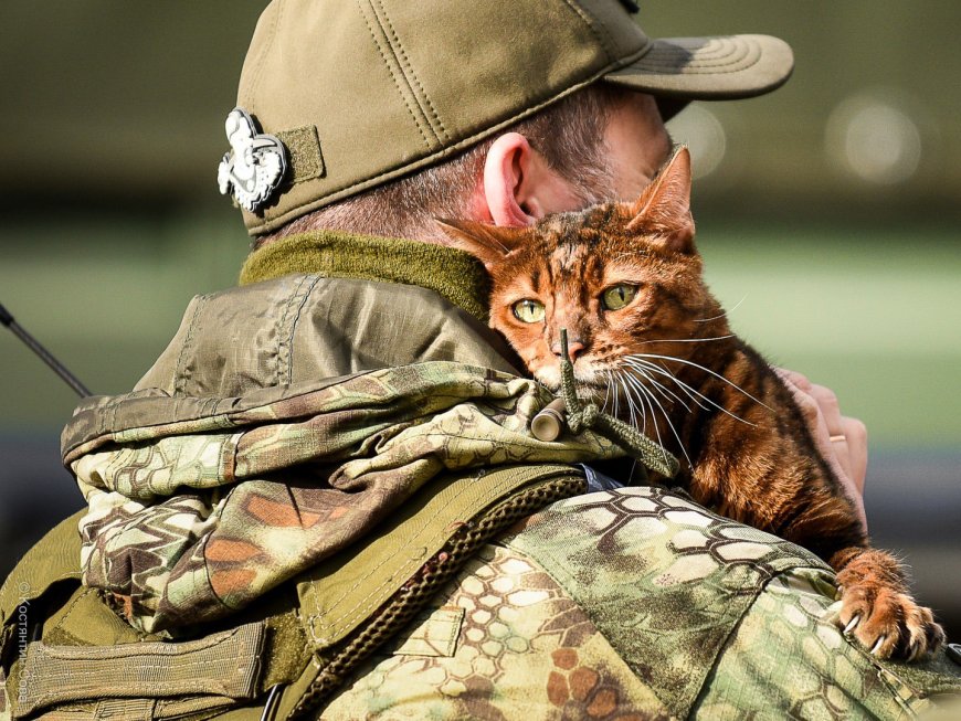Η ανοχή τελειώνει