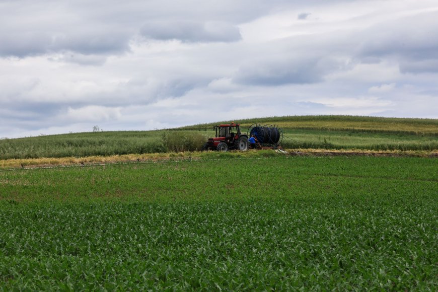 ΟΠΕΚΕΠΕ πληρωμές αγροτών 2025: Από σήμερα οι προκαταβολές για την βασική ενίσχυση