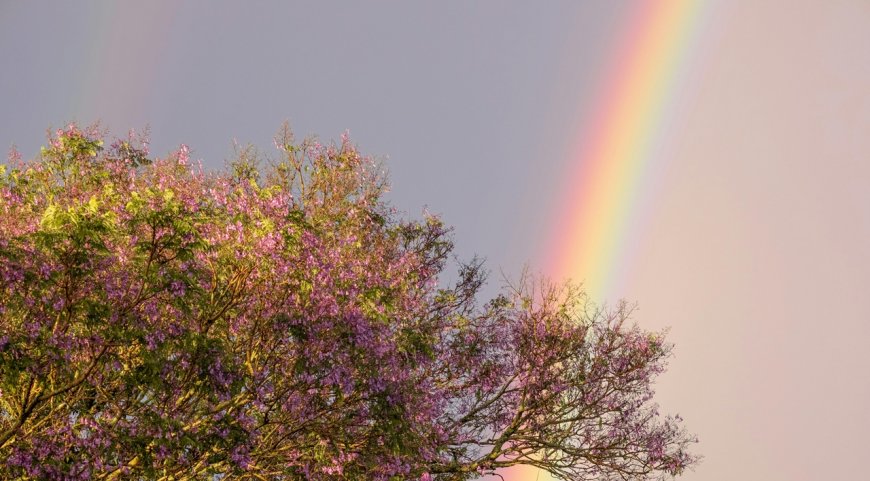 Ο καιρός τις επόμενες μέρες: Τι προβλέπει ο Θοδωρής Κολυδάς