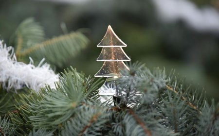 Φως και γιορτή στον Πειραιά: Αντίστροφη μέτρηση για το Χριστουγεννιάτικο Δέντρο