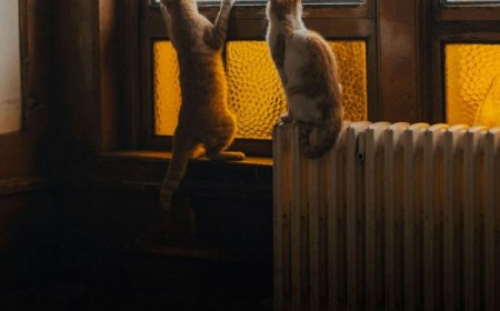 Επίδομα θέρμανσης προθεσμία: Μέχρι αύριο οι αιτήσεις – Πότε η πληρωμή