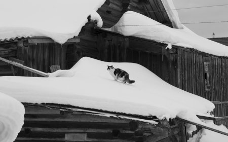 Κλειστά σχολεία αύριο 5 Δεκεμβρίου λόγω κακοκαιρίας: Πού δεν θα γίνουν μαθήματα