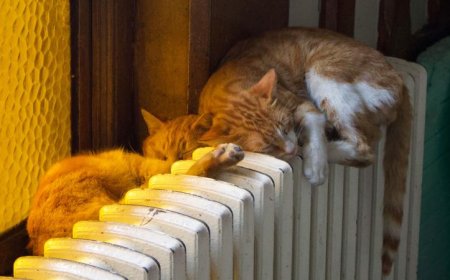 Επίδομα θέρμανσης – Προθεσμία αίτησης: Μέχρι σήμερα (5/12) το βράδυ