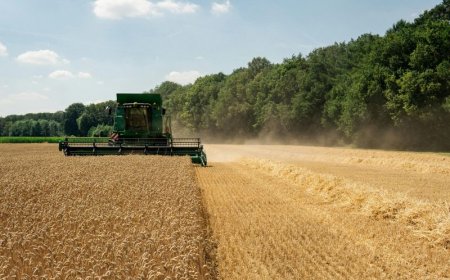 ΟΠΕΚΕΠΕ πληρωμές αγροτών 2025: Στα 2,48 δισ. ευρώ μέχρι 1 Δεκεμβρίου