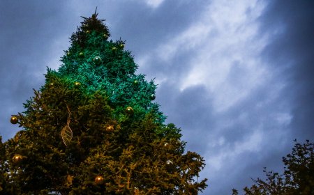 Χριστουγεννιάτικο τραμ Αθήνα: Η μαγεία στους δρόμους της πόλης