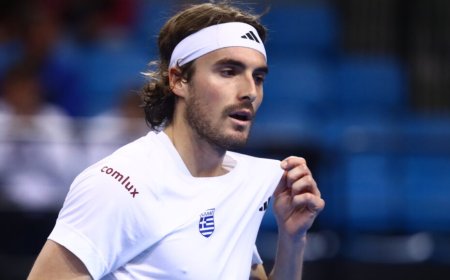 Στέφανος Τσιτσιπάς: Διορία μέχρι την επόμενη Παρασκευή να παραδώσει την άδεια οδήγησης