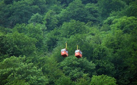 Νερό στην Κίνα: Πώς τα δέντρα άλλαξαν την κατανομή στη χώρα