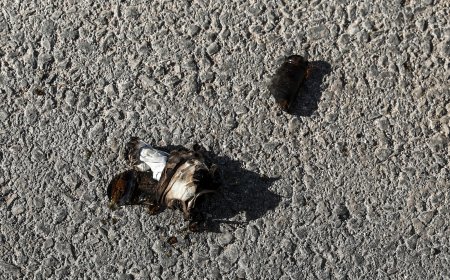 Μολότοφ στο ΑΤ Κυψέλης: Μία προσαγωγή