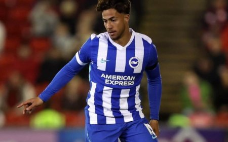 Κωστούλας Μπράιτον: Η τρέλα των οπαδών των «γλάρων» προς τον Έλληνα επιθετικό