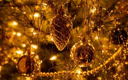 Χριστούγεννα στα Βριλήσσια 2025: Φωταγώγηση δέντρου και εορταστικές εκδηλώσεις