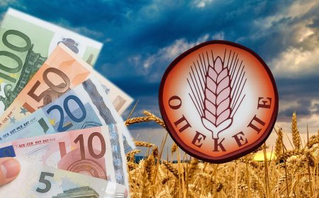 Πληρωμές ΟΠΕΚΕΠΕ: Πιστώθηκαν 28,78 εκατ. € σε δικαιούχους βιολογικής κτηνοτροφίας και μελισσοκομίας