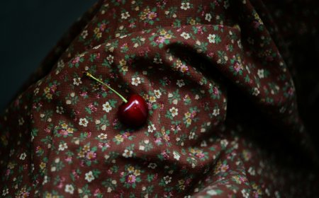 Κίνα: Το «σχέδιο ζωής» επτά γυναικών που αποφάσισαν να γεράσουν μαζί