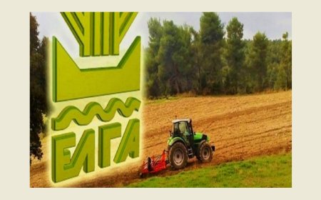 ΕΛΓΑ: Παράταση πληρωμής εισφοράς και επιτάχυνση αποζημιώσεων