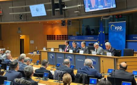 ΚΕΔΕ στο Ευρωπαϊκό Κοινοβούλιο: Δυναμική παρέμβαση για το ΠΔΠ 2028–2034