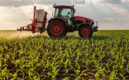 Πώς μπορούν οι αγρότες να κάνουν διορθώσεις – ενστάσεις για τις επιδοτήσεις