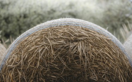 Κρήτη: Μέχρι και… νεκρούς εμφάνιζαν να υποβάλλουν αιτήσεις για να παίρνουν επιδοτήσεις!