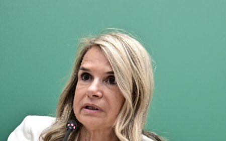 Μιλένα Αποστολάκη για αγρότες: Το… πριν και το μετά