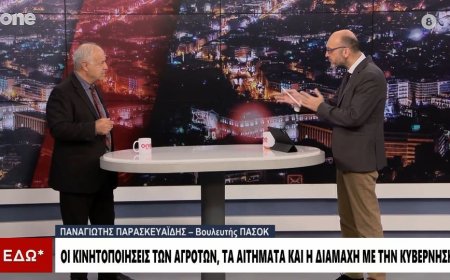 Παρασκευαΐδης: Ευθύνεται και το ΠΑΣΟΚ για τη χρεοκοπία