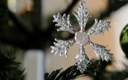 100 μερίδες φαγητού για το Κοινωνικό Παντοπωλείο: Μαθητές Χαλανδρίου σε δράση εθελοντισμού