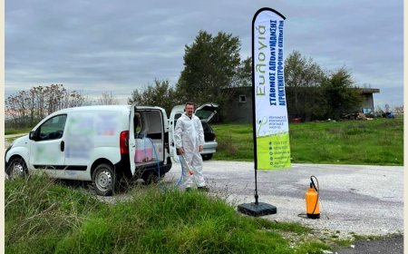 Νέο κύμα έξαρσης της ευλογιάς αιγοπροβάτων σε Ροδόπη-Ξάνθη