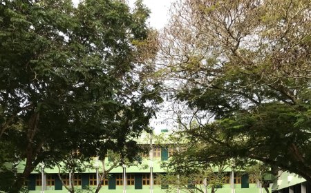 Κυψέλη μαχαίρωμα: Δίωξη για δύο κακουργήματα στην 16χρονη