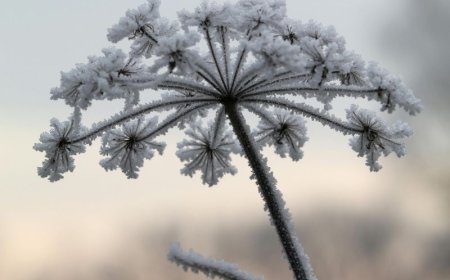 Ξενοδοχείο από πάγο: Άνοιξε το εντυπωσιακό θέρετρο του χειμώνα