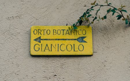 Ταξίδια Ελλήνων στο εξωτερικό: Άνοδος σχεδόν 20% σε μετακινήσεις και δαπάνες