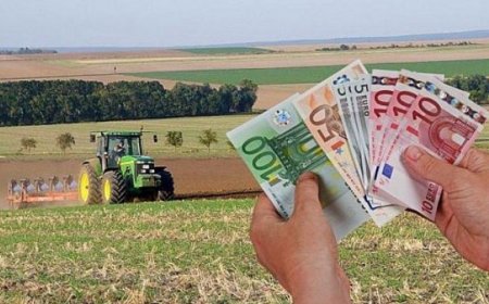 Επιπλέον πληρωμές 487,9 εκατ. ευρώ από ΟΠΕΚΕΠΕ και ΕΛΓΑ