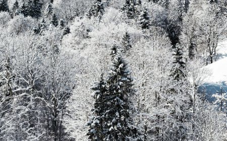 Μίσιγκαν: Άμμος πάγωσε λόγω του ακραίου ψύχους