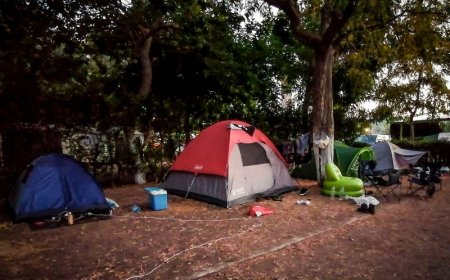 Φοινικούντα εξελίξεις: Παραδόθηκε o 30χρονος στη Καλαμάτα για το διπλό φονικό