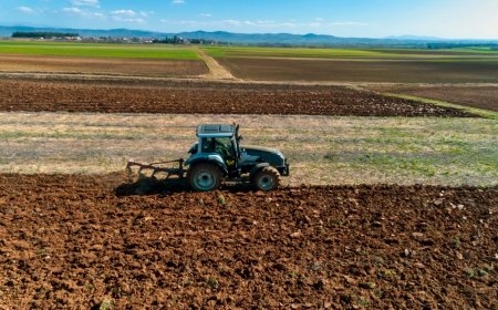 Πώς θα γίνει η πληρωμή αγροτεμαχίων έως 20 στρεμμάτων παρά τα ζητήματα ΚΑΕΚ – Διευκρινιστική εγκύκλιος