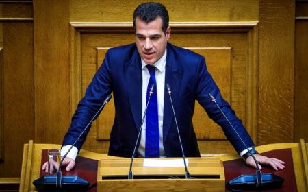 Πλεύρης: Ο υπουργός ασκεί κριτική σε Παππά και Κωνσταντοπούλου για στάσεις και συμπεριφορές.