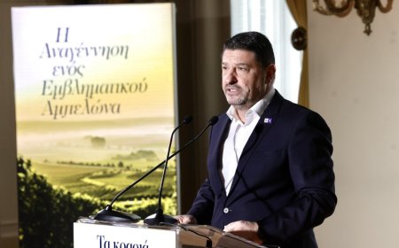 Περιφέρεια Αττικής: Σχέδιο στήριξης για τον αττικό αμπελώνα και τα κρασιά της Αττικής