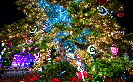 «Ο Αϊ Βασίλης πάει παντού» – Φιλανθρωπική δράση στην κεντρική πλατεία Κομοτηνής