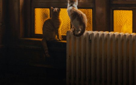 Προκαταβολή επιδόματος θέρμανσης 2025: Πριν τα Χριστούγεννα οι πληρωμές