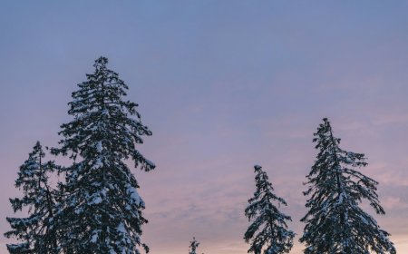 Καιρός Χριστούγεννα και Πρωτοχρονιά 2025: “Όποιος βιάζεται σκοντάφτει…”