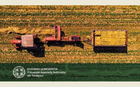 Πρωτοβουλία ΥΠΑΑΤ για αποκατάσταση αδικιών σε βάρος γεωργών λόγω εκκρεμοτήτων στο Κτηματολόγιο