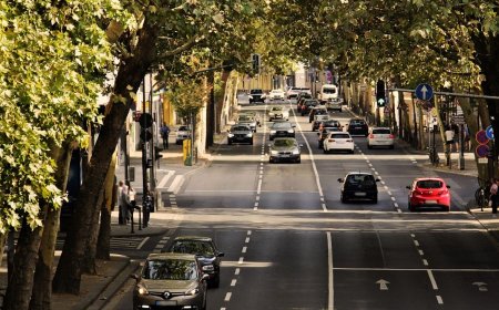 Δήμος Αθηναίων: Ξεκινά η επιστροφή πινακίδων ενόψει Χριστουγέννων