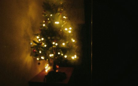 Σαν σήμερα 22 Δεκεμβρίου 1882: Η νύχτα που ο ηλεκτρισμός μπήκε στο σαλόνι των Χριστουγέννων