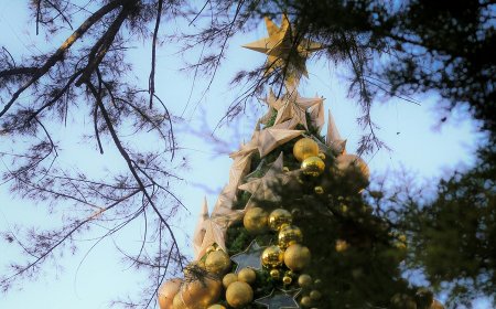 Χριστούγεννα 2025: Το μετρό και το τραμ της Αθήνας «έβαλαν» τα γιορτινά τους