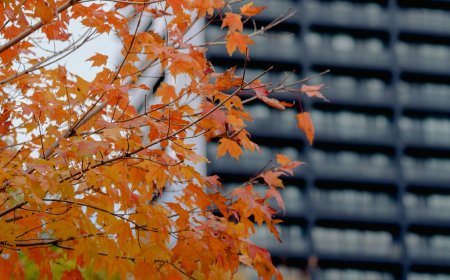 Ανασχηματισμός γενικών γραμματέων υπουργείων 2025: Ποιοι παραιτούνται, ποιοι αναλαμβάνουν