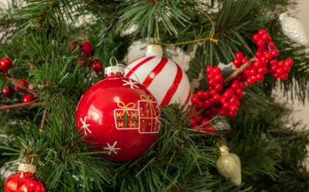 Χανιά χριστουγεννιάτικο δέντρο: Φωταγωγήθηκε στον Ομαλό Χανίων