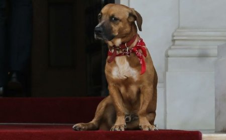 Peanut Μαξίμου: Άκουσε τα κάλαντα μαζί με τον πρωθυπουργό